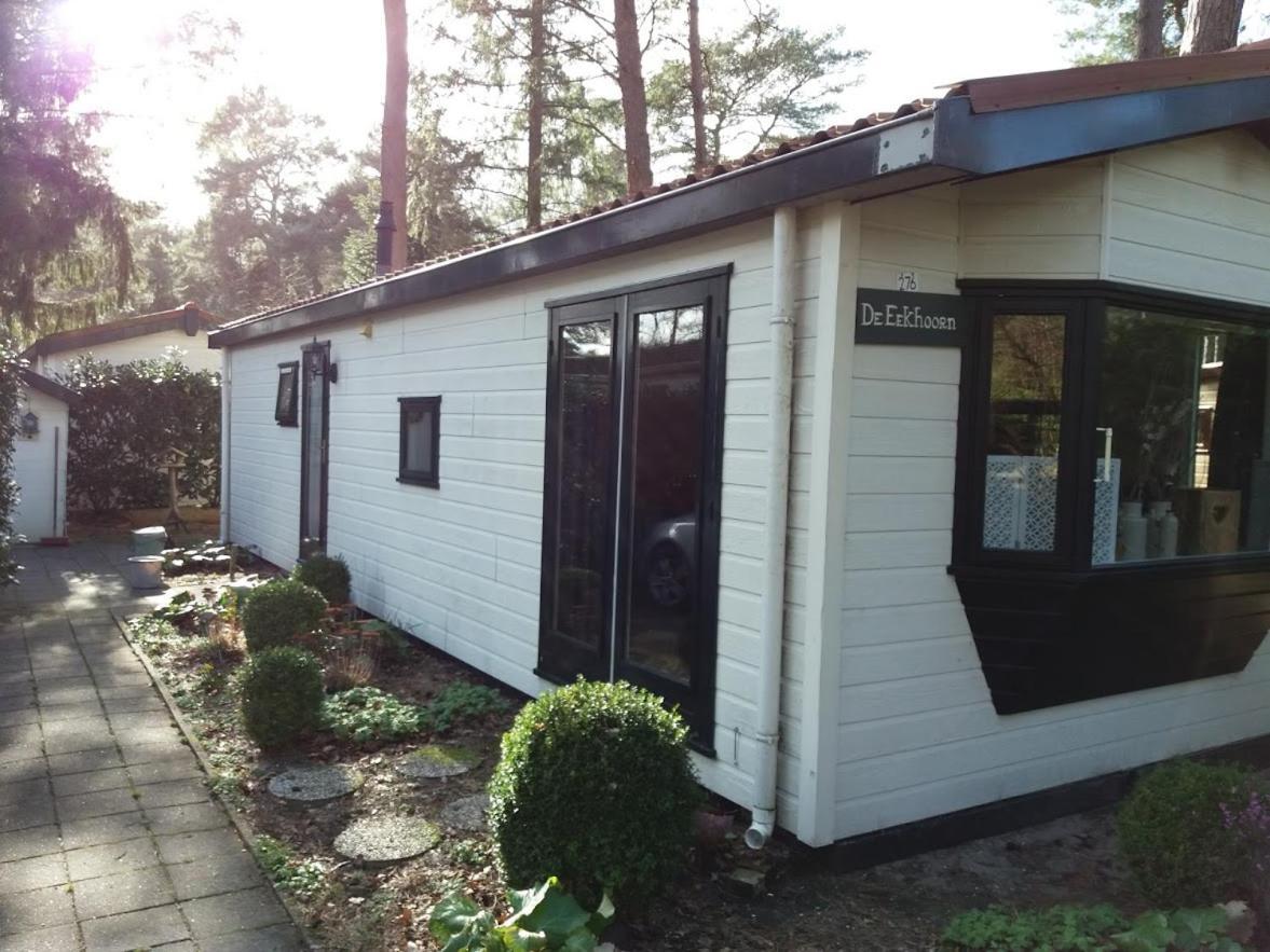 Chalet De Eekhoorn Diever Exterior foto
